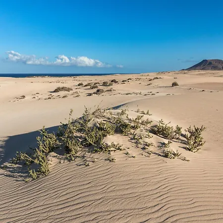 Apartament 2br - Solarium & Barbacue Corralejo